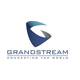 Grandstream Netzteil für EU 12V / 0,5A